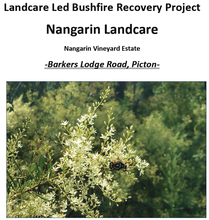 Nangarin Flora Report by CPR